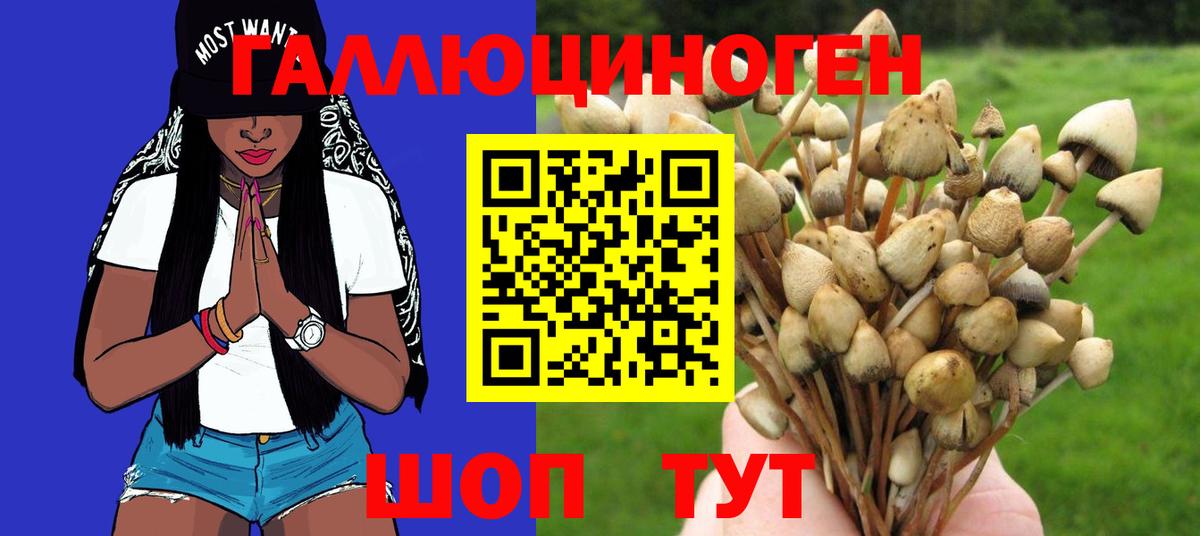 Галлюциногенные грибы Magic Shrooms Домодедово