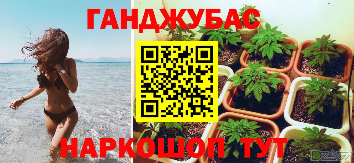 Бошки Шишки тримм  Вход с VPN  Шишки марихуана THC 21%  Конопля план  Домодедово 